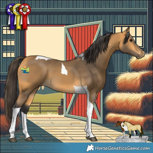 Horse Color:Buckskin Tobiano 
