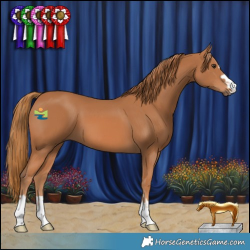 Horse Color:Chestnut 