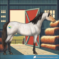 Horse Color:Buckskin Roan Dun 