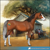 Horse Color:Bay Splash 