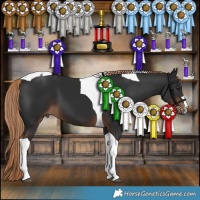 Horse Color:Liver Chestnut Tobiano 