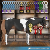 Horse Color:Liver Chestnut Tobiano