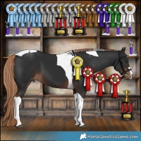 Horse Color:Liver Chestnut Tobiano 
