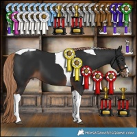 Horse Color:Liver Chestnut Tobiano 