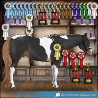 Horse Color:Liver Chestnut Tobiano 