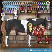 Horse Color:Liver Chestnut Tobiano 