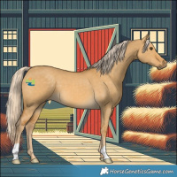Horse Color:Palomino Dun 