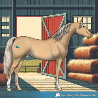 Horse Color:Palomino Dun 