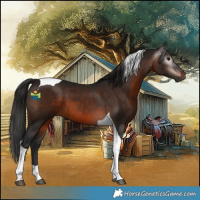Horse Color:Gray Brown Tobiano