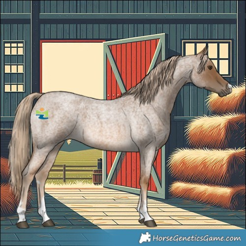 Horse Color:Chocolate Palomino Roan 