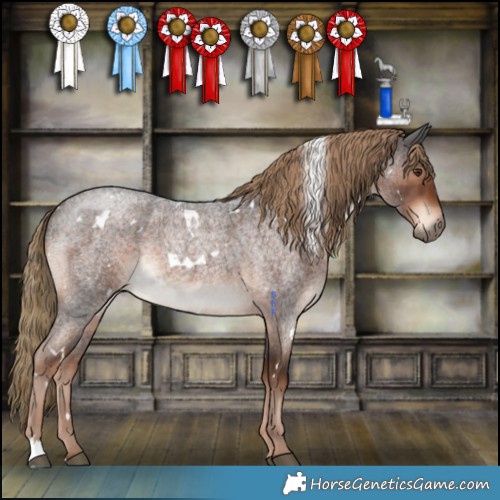 Horse Color:White Spotted Liver Red Roan 