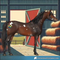 Horse Color:White Spotted Brown 