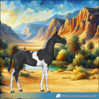 Horse Color:Black Tobiano 