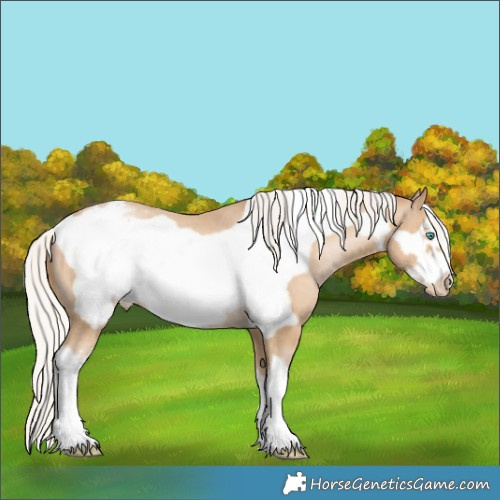 Horse Color:White Spotted Silver Smoky Black Pearl Frame Appaloosa 