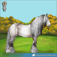 Horse Color:Gray White Spotted Liver Red Dun  and White Spotted Brown 