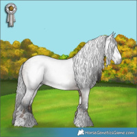 Horse Color:Gray White Spotted Liver Red Dun  and White Spotted Brown 