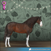 Horse Color:White Spotted Liver Chestnut 