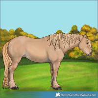 Horse Color:Red Dun 