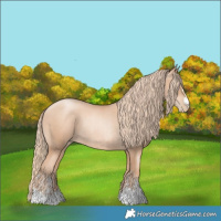 Horse Color:Gold Champagne Pearl Rabicano  and Gold Champagne Pearl Rabicano 