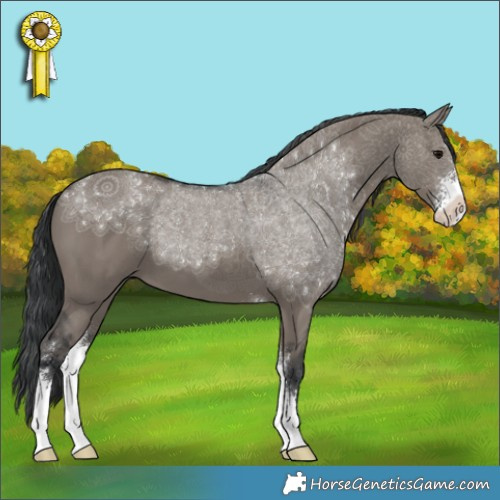 Horse Color:Grullo Mushroom Sabino 