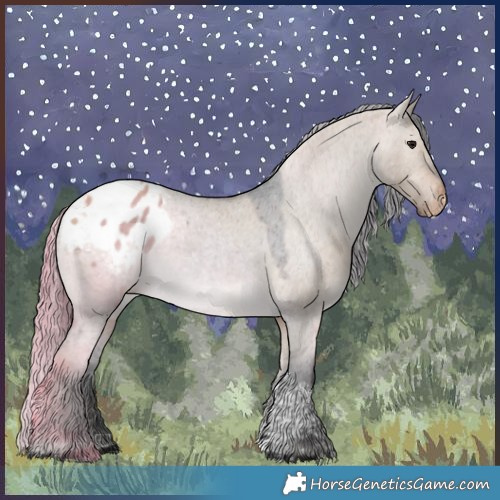 Horse Color:Brown Dun Tobiano Appaloosa Rabicano 