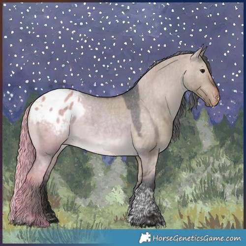 Horse Color:Brown Dun Tobiano Appaloosa Rabicano 