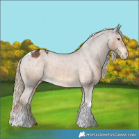 Horse Color:Chocolate Palomino Tobiano Varnish 