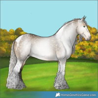 Horse Color:Gray Silver Buckskin Dun Tobiano 
