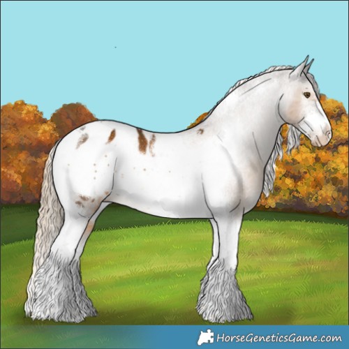 Horse Color:Chocolate Palomino Sabino Tobiano Frame Appaloosa 