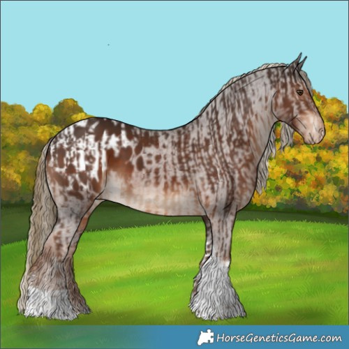 Horse Color:Liver Chestnut Tobiano  and Liver Chestnut Tobiano Appaloosa 