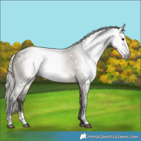 Horse Color:Gray Silver Smoky Grullo Tobiano 