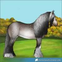 Horse Color:Gray Bay Dun Tobiano