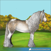 Horse Color:Gray Silver Buckskin Dun Tobiano