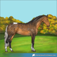 Horse Color:Silver Buckskin Tobiano 