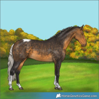 Horse Color:Silver Buckskin Tobiano 