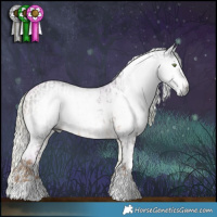Horse Color:Gray White Spotted Chocolate Palomino  and Gray Watercolor Chocolate Palomino Pearl Onyx Sabino 