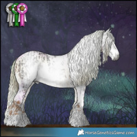 Horse Color:Gray White Spotted Chocolate Palomino  and Gray Watercolor Chocolate Palomino Pearl Onyx Sabino 