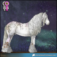 Horse Color:Gray White Spotted Chocolate Palomino  and Gray Watercolor Chocolate Palomino Pearl Onyx Sabino 