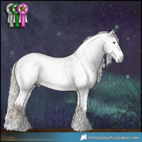 Horse Color:Gray White Spotted Chocolate Palomino  and Gray Watercolor Chocolate Palomino Pearl Onyx Sabino 