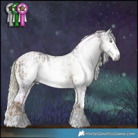 Horse Color:Gray White Spotted Chocolate Palomino  and Gray Watercolor Chocolate Palomino Pearl Onyx Sabino 