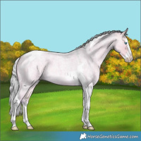 Horse Color:Watercolor Silver Perlino Roan Dun Splash Tobiano 
