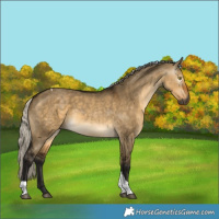 Horse Color:Gray Silver Buckskin Dun Tobiano 