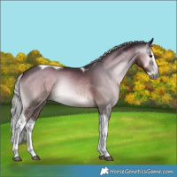 Horse Color:Gray Silver Blue Onyx Splash Tobiano