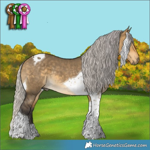 Horse Color:Silver Buckskin Dun Tobiano 