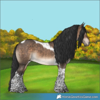Horse Color:Brown Dun Tobiano 