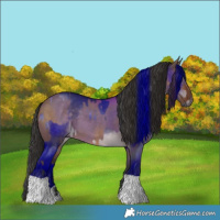 Horse Color:Liver Red Dun  and Brown Dun 