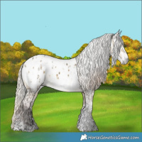Horse Color:Silver Buckskin Dun Tobiano Near Leopard  and Gray Liver Red Dun Sabino Blanket Brindle 