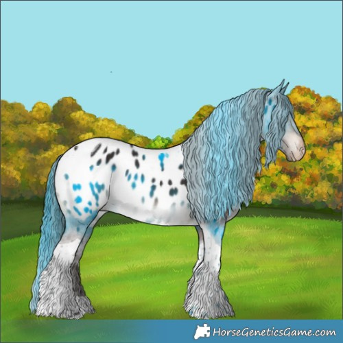 Horse Color:Brown Tobiano Near Leopard 