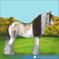 Horse Color:Liver Red Dun Onyx Tobiano Brindle