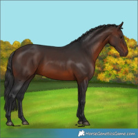 Horse Color:Brown 